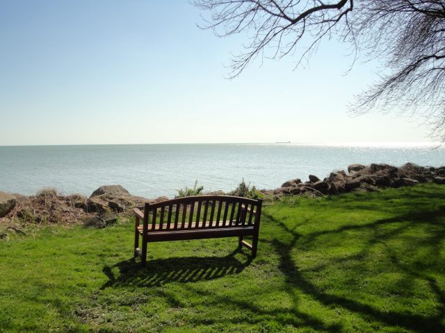 bench